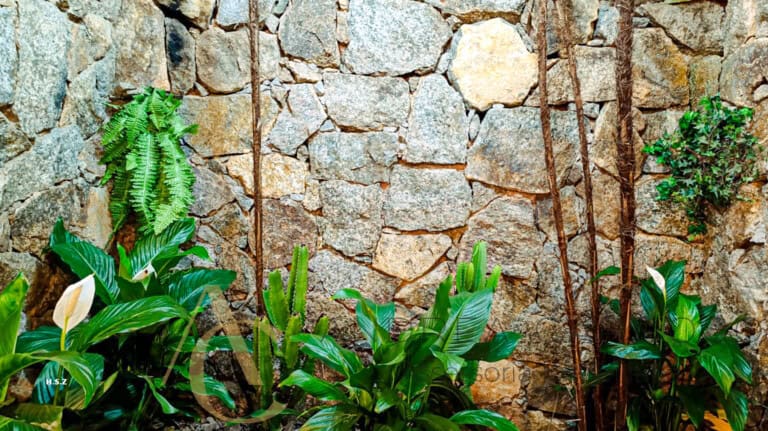 Casa à venda com piscina, espaço gourmet e pomar – Centro, Florianópolis/ SC.