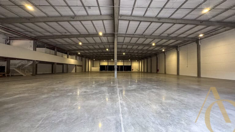 Loja para alugar – BR 101 – Palhoça, SC.