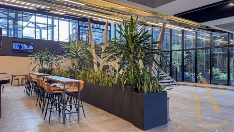 Loja para alugar – 319,39m² – Trindade, Florianópolis/SC.