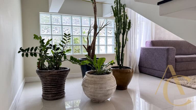 Casa residencial para venda – 4 suítes – Campeche, Florianópolis/SC.